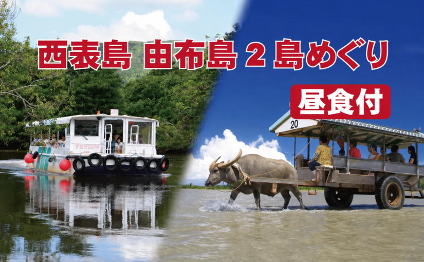 仲間川マングローブクルーズ＆由布島観光ツアー
